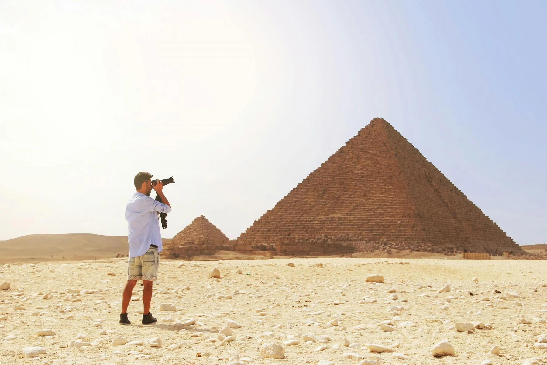 Great Pyramids of Giza with camel in foreground
