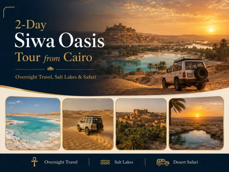 2-Day Siwa Oasis Tour from Cairo: Overnight Travel, Salt Lakes & Safari