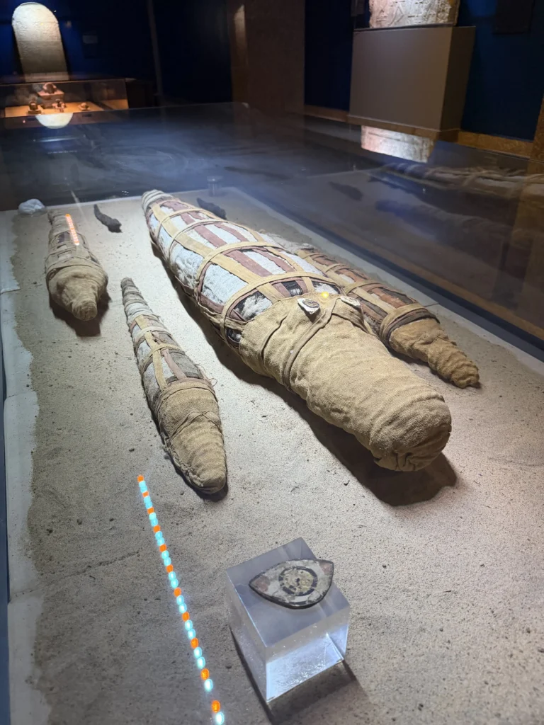 Nile Cruise Aswan to Luxor — 4 Days, 3 Nights, Fully Guided